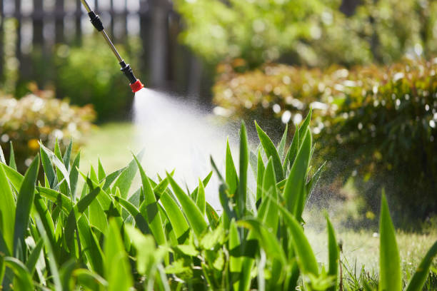 Tamper-Resistant Bait Stations for Rodents in Great Neck Gardens