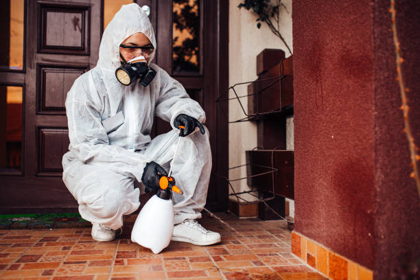 Attic and Crawl Space Rodent Treatment in Great Neck Gardens