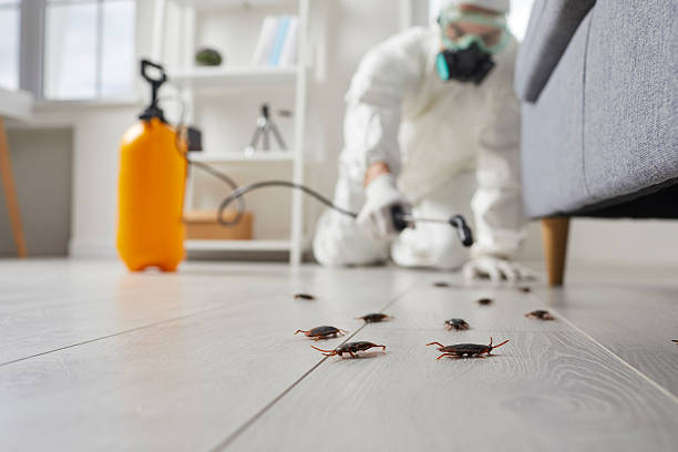 Commercial Rodent Management in Great Neck Gardens